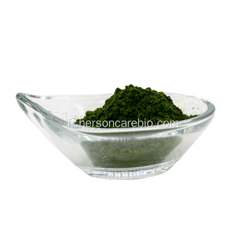 Poudre de protéine d&#39;orgainc chlorella